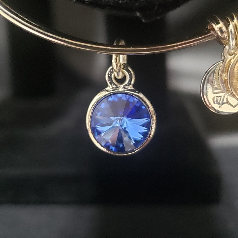 Alex & Ani RS September Swarovski Bracelet - Picture 6 of 9
